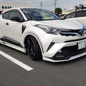 C-HR ZYX10