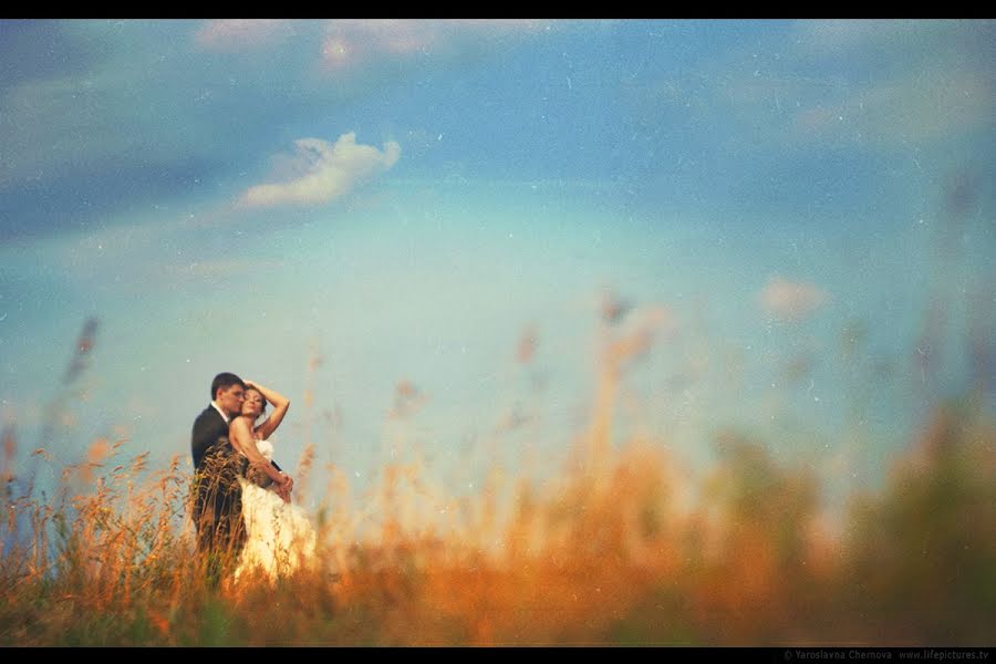 Bryllupsfotograf Yaroslavna Chernova (yaroslavnache). Bilde av 14 november 2012