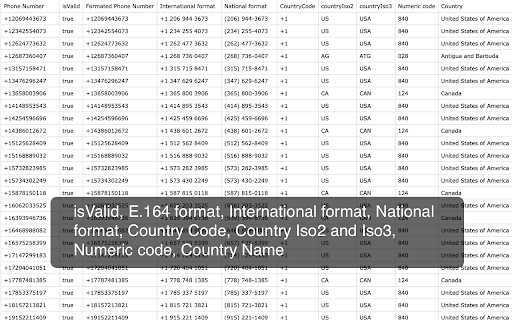 E.164 Phone Number Country Lookup