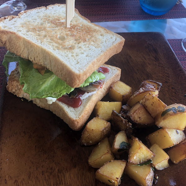 Amazing gluten free bread! This was an incredible lunch and the staff is very knowledgeable!