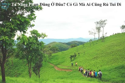 Kinh Nghiệm Trekking Tà Năng Phan Dũng Chi Tiết A-Z - Nếu bạn đam mê khám phá, trekking Tà Năng Phan Dũng là một trải nghiệm tuyệt vời. Sẵn sàng vượt qua những bản đồ hiểm trở, những đường rừng dày đặc để tìm ra những khoảnh khắc đáng nhớ. Hãy tìm hiểu kinh nghiệm chi tiết từ A-Z để có chuyến đi trekking đầy ý nghĩa nhất.