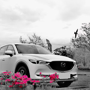 CX-5 KFEP