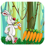 Cover Image of Download Jungle rabbit carrot subway™ 1.0 APK