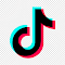 png-transparent-tiktok-social-media-logos-brands-icon.png