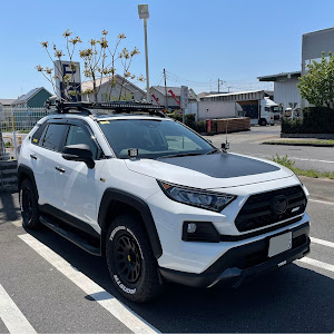 RAV4 MXAA54