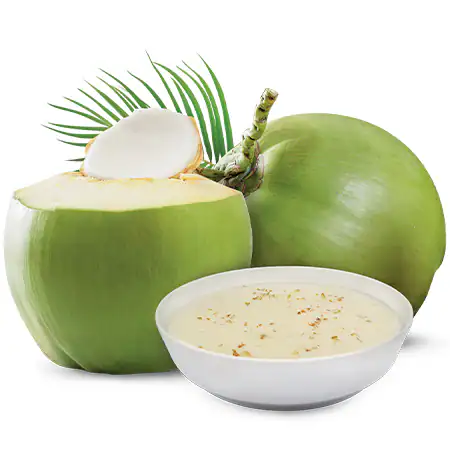 Tender Coconut Pudding