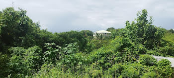 terrain à batir à Sainte Anne (971)