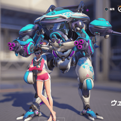  D.Va Skin