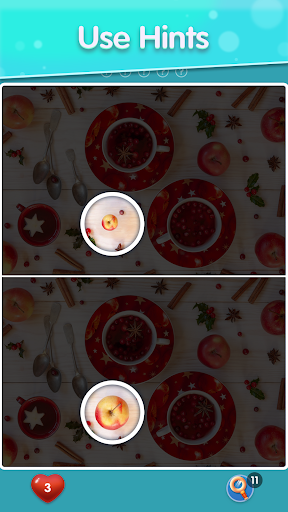 Screenshot Find Differences Puzzle Game