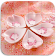 Rose Pour Les Filles Puzzle icon