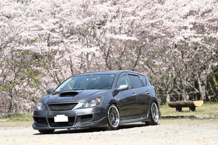 カルディナの桜とコラボ・サクラと愛車・桜・目指せPickUpCars・ドライブに関するカスタム事例の投稿画像1枚目