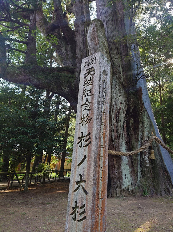 RAV4の弾丸旅行・プチ旅行・高知県・モネの庭に関するカスタム事例の投稿画像7枚目