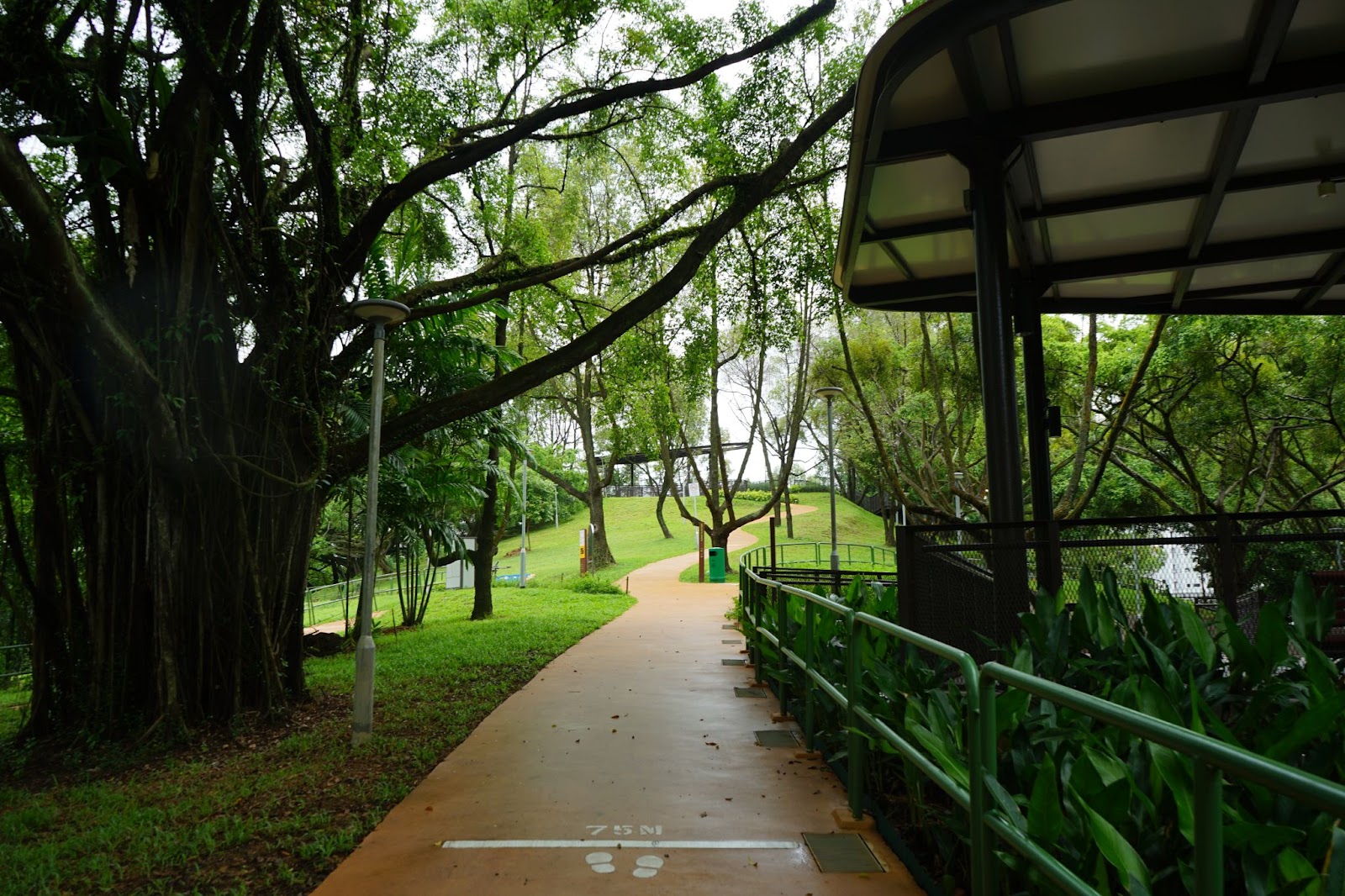 Jogging trail