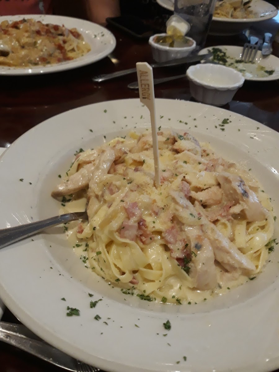 Gluten-Free Pasta at Bella Italia Ristorante