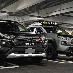 RAV4 MXAA54