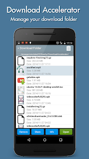Download Manager Accelerator Screenshot