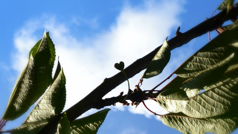 Le sorprese della natura di angyrose_photographer