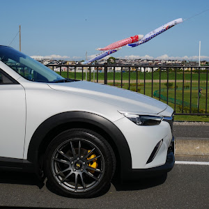 CX-3 DK5FW