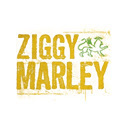 Ziggy Marley Theme Chrome extension download