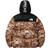 supreme the north face nuptse leaves