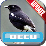 Masteran Kicau Decu Apk