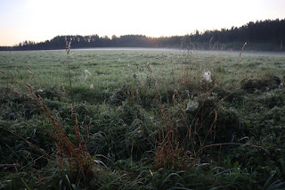 päikesetõus Jõgeharal