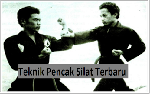 Lastest Complete Pencak Silat APK for Android