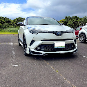 C-HR ZYX10