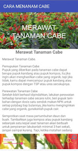 CARA MENANAM CABE(圖3)-速報App