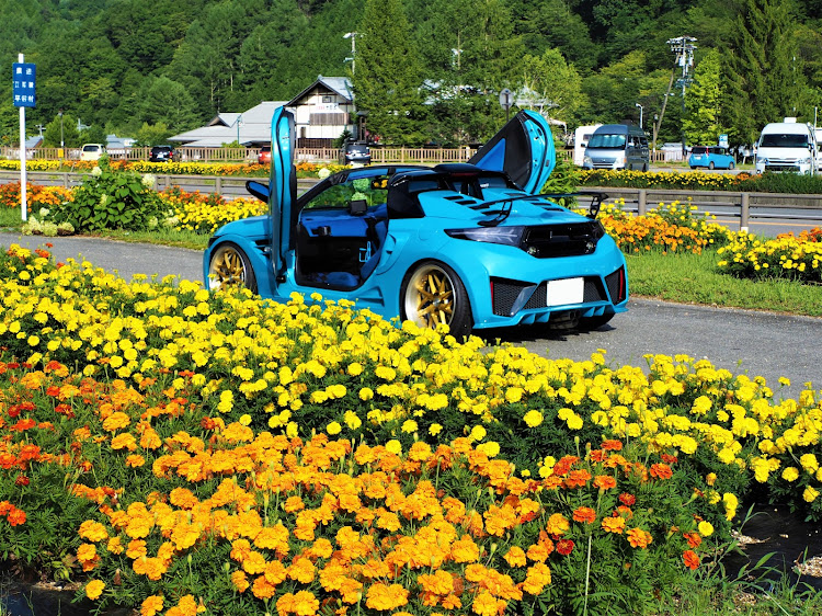 S660のNo 天気・花畑と戯れる・小出しの精神・カラフル投稿・ペガサスブルーに関するカスタム事例の投稿画像5枚目