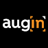 augin 3.10