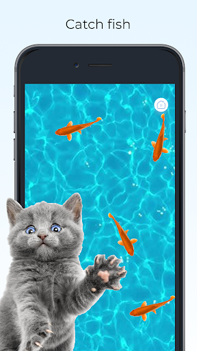 Screenshot Meow - Cat Toy Games for Cats