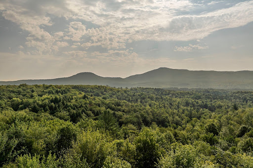 Prestige land for sale in Memphrémagog Regional County Municipality (Canada) - Forest landscape with distant mountains