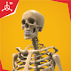 Download Human Skeletal System For PC Windows and Mac 0.1