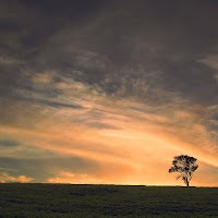 da solo.... ad ammirare il cielo di 