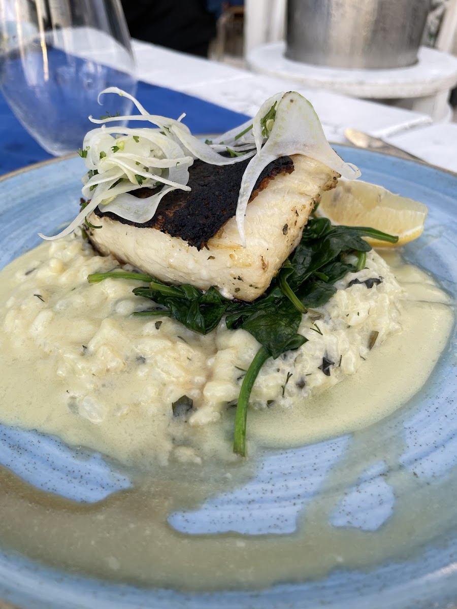 Halibut with risotto and spinach GF