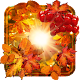 Download Autumn Sun Live Wallpaper For PC Windows and Mac