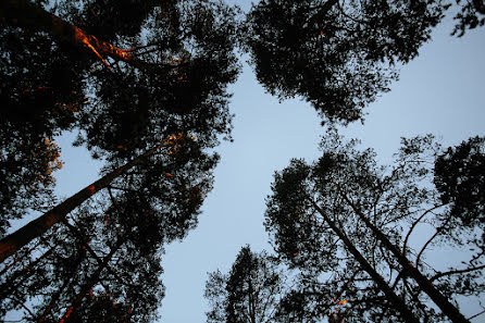 Vestuvių fotografas Natalya Smekalova (smekinata). Nuotrauka 2018 gegužės 8