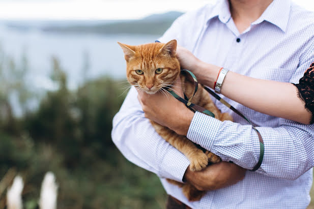 Wedding photographer Natasha Konstantinova (konstantinova). Photo of 23 March 2019