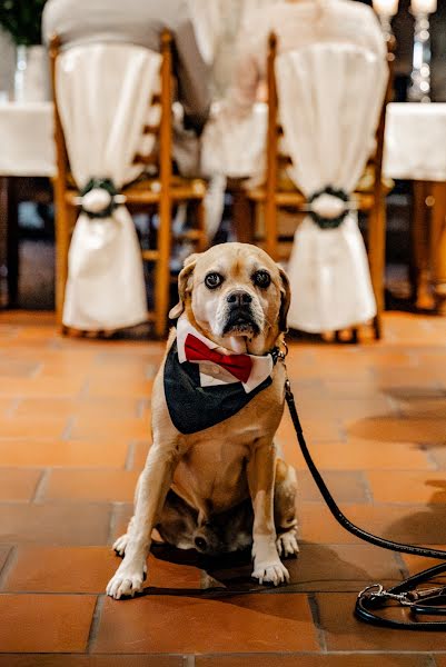 Svadobný fotograf Anifé Rosenau (anife). Fotografia publikovaná 7. februára