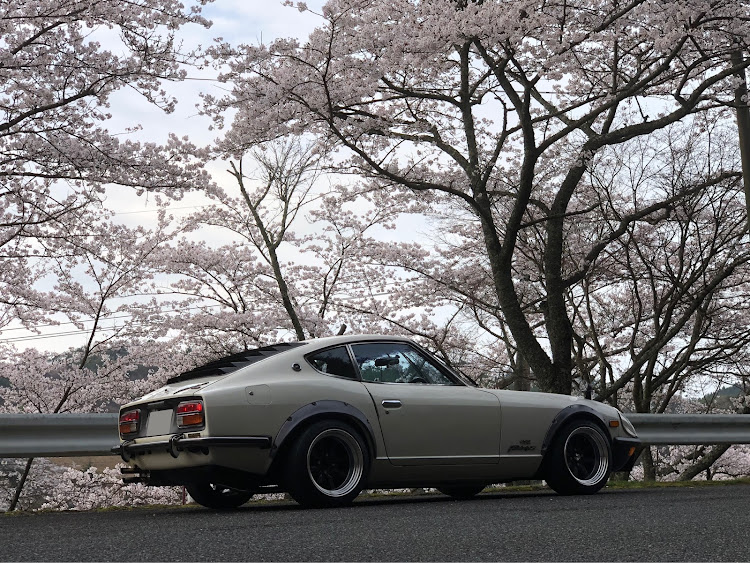 フェアレディZの桜とコラボ・ドライブ・s30z・旧車・4月もよろしくお願い致します🌸に関するカスタム事例の投稿画像3枚目