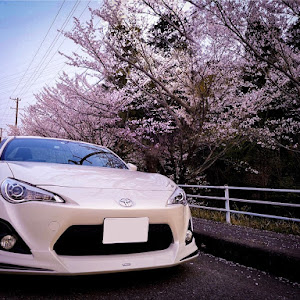 86 ZN6