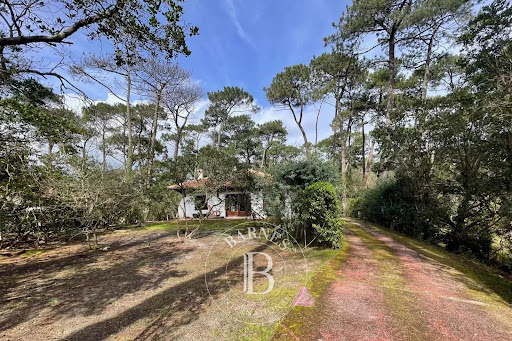 Villa en bord de mer avec jardin 1