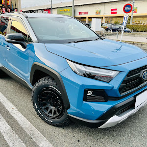 RAV4 AXAH54