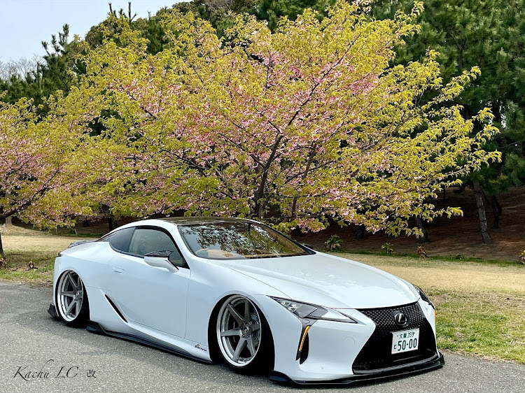 LCの桜と愛車のコラボ・たまにはボッチドライブ🚗 ³₃・和歌山港近くで・次回雑賀崎編・discover＿ctに関するカスタム事例の投稿画像1枚目