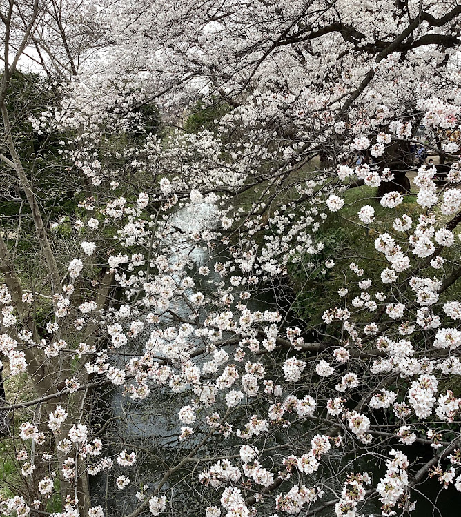 の投稿画像107枚目