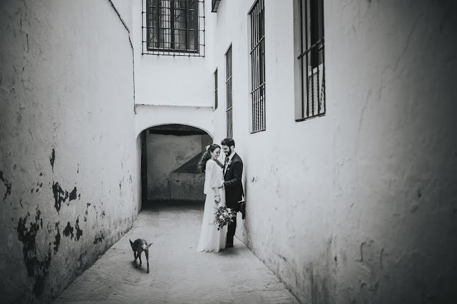 Fotógrafo de bodas Sete Carmona (setecarmona). Foto del 17 de mayo 2018