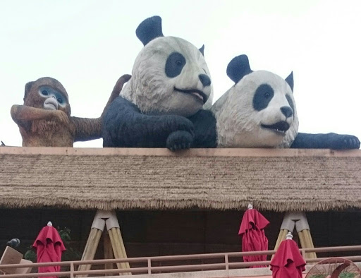 Two Pandas and a Monkey