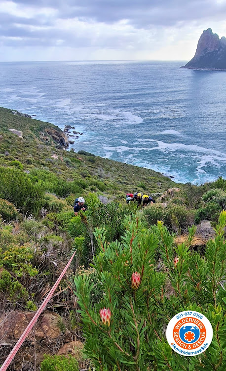 Rescue teams saved a motorist whose car plunged off Chapman's Peak Drive on Monday.