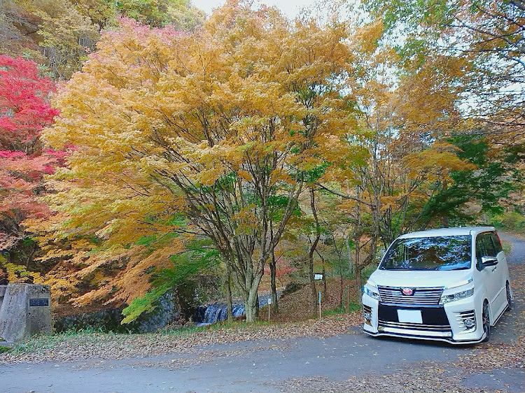 の投稿画像9枚目